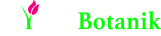 Awesome Logo